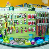 Galería de imágenes